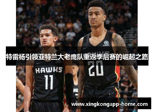 特雷杨引领亚特兰大老鹰队重返季后赛的崛起之路